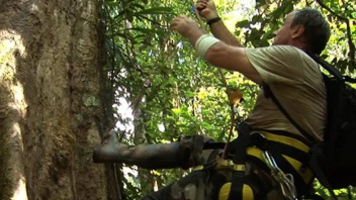 Les plus beaux parcs naturels de France La Guyane