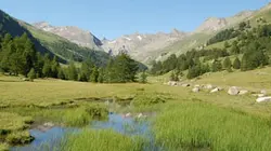 Sur Animaux à 21h30 : Les plus beaux parcs naturels de France