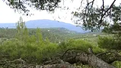 Sur Animaux à 21h30 : Les plus beaux parcs naturels de France