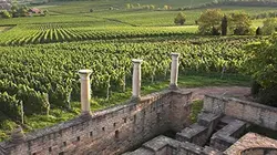 Visuel de Les plus belles routes d'Allemagne