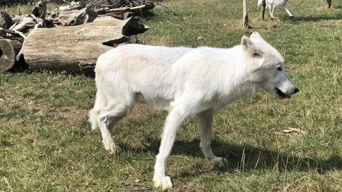 Les plus belles routes d'Allemagne