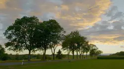 Visuel de Les plus belles routes d'Allemagne