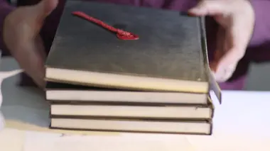 Les journaux d'Hitler