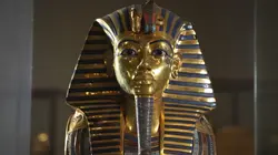 Les plus grands mystères de la science