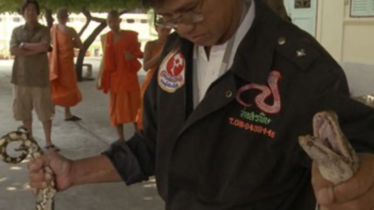 Les poisons de Bangkok