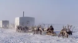 Visuel de Les pôles, ultimes frontières