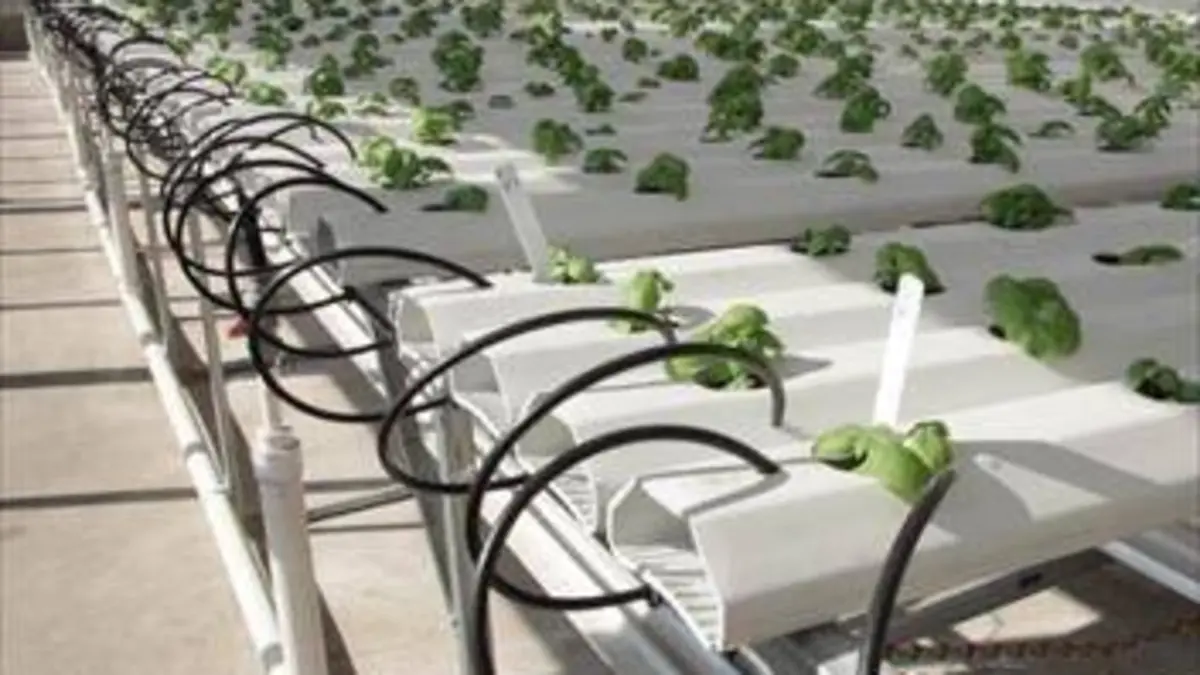 Les porteurs d'espoir S02E00 USA