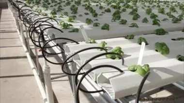 Les Etats-Unis : inspirent-ils encore le reste du monde et de quelle manière ?