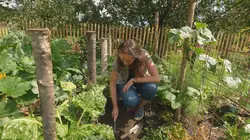 Visuel de Les potagers de Julie