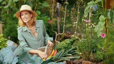 Le potager créatif normand