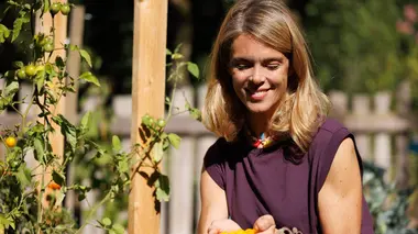 La fraise de Plougastel