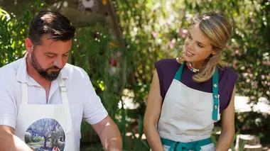 L'aubergine de Barbentane