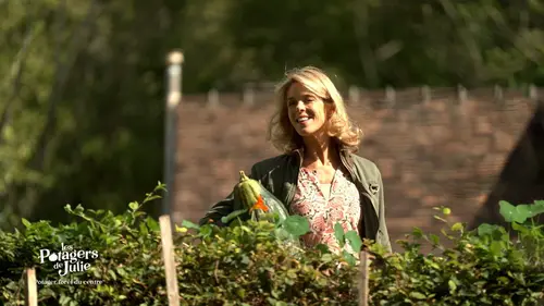 Les potagers de Julie Le potager-forêt du Centre