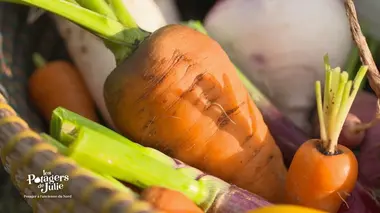 Le potager à l'ancienne du nord