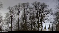 Les pouponnières du IIIe Reich