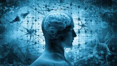 Les pouvoirs extraordinaires du corps humain Les super-pouvoirs de notre cerveau