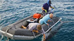 Les prédateurs de la Grande Barrière de corail