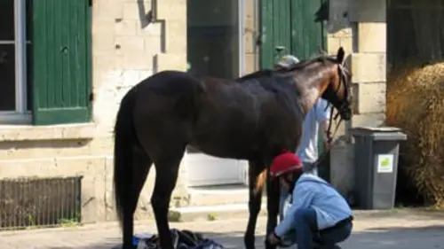 Les premiers pas des 2 ans