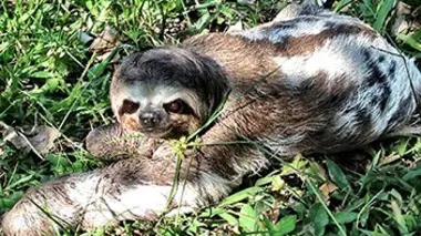 Une situation désespérée