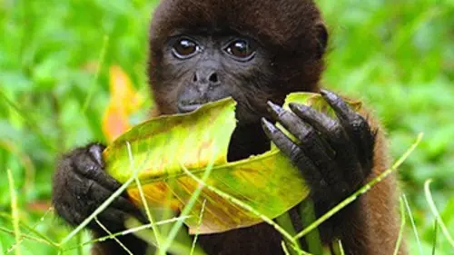 Les princes des cimes E01 L'école de la seconde chance