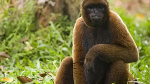 Les princes des cimes E03 On l'appelle Tchayu