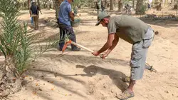 Les printemps arabes : de l'espoir au désespoir