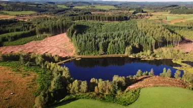 Fleurir les landes