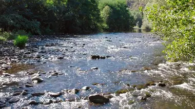 Redonner vie aux rivières