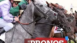 Visuel de Les pronos