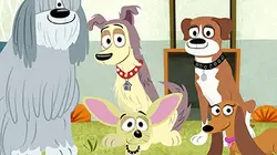 Sur TIJI à 19h20 : Les Puppies, l'agence canine