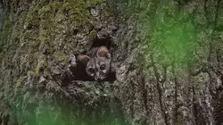 Les Pyrénées secrètes
