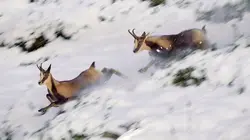Les Pyrénées secrètes