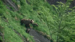 Les Pyrénées secrètes