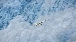 Visuel de Les Pyrénées secrètes