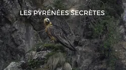 Sur Ushuaïa TV à 22h35 : Les Pyrénées secrètes