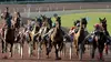 2011 • Les qualifications au trot