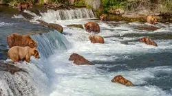 Les quatre saisons de l'Alaska