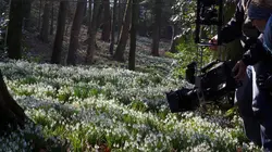 Les quatre saisons du Yorkshire