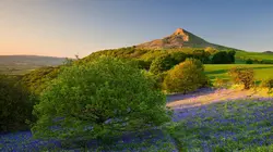 Les quatre saisons du Yorkshire S01E01 Printemps