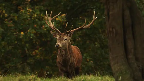 Les quatre saisons du Yorkshire S01E02 Eté