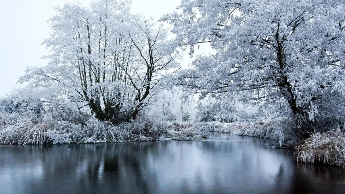 Les quatre saisons du Yorkshire S01E04 Hiver