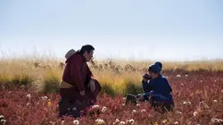 Les racines du monde