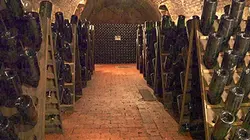 Visuel de Les raisins de la guerre