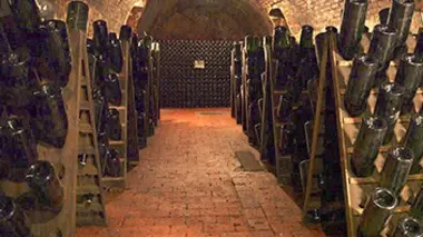 Les raisins de la guerre