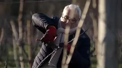 Les raisins de la misère