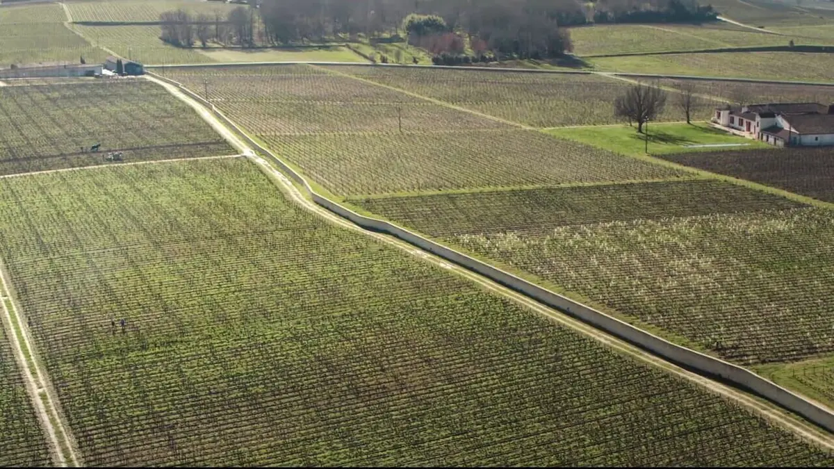 Les raisins de la misère