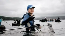 Les ramasseuses de coquillages de Galice