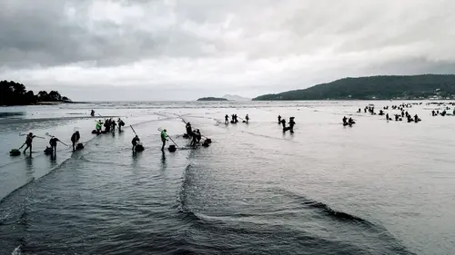 Les ramasseuses de coquillages de Galice