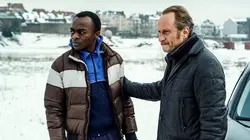 Les rayures du zèbre