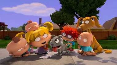 Madame Débarras / Le nouveau chien